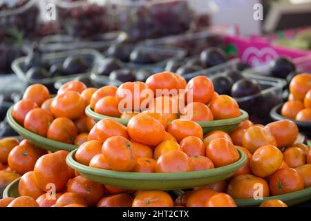 Tangerini freschi su una bancarella di mercato della frutta Foto Stock
