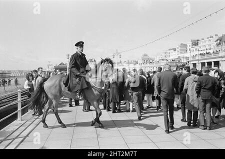 Gli stati d'animo e i rocker erano due culture giovanili britanniche in conflitto tra l'inizio e la metà del 1960s. La copertura mediatica di mod e rocker che combattevano nel 1964 ha scatenato un panico morale sui giovani britannici, e i due gruppi sono stati etichettati come diavoli popolari. Mods arrotondato dopo scontri con i rockers a Brighton. 18th aprile 1965. Foto Stock