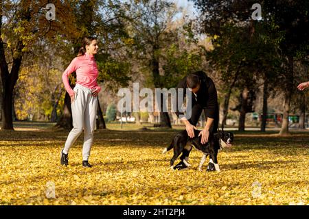 Due fantastici amici stanno accarezzando il cane mentre si riscaldano nel parco Foto Stock