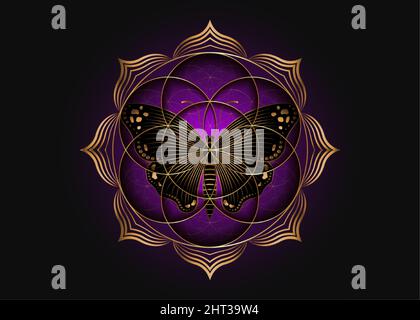 Seme fiore della vita icona di loto e farfalla magica nera, yantra mandala geometria sacra, simbolo d'oro di armonia ed equilibrio. Talismano mistica Illustrazione Vettoriale