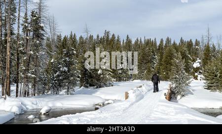 Il sentiero impaccato conduce sopra un ponte di fiume di inverno che è seguito da racchette da neve Foto Stock