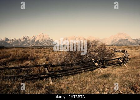 Recinzione in legno rotta con piante essiccate sullo sfondo Foto Stock