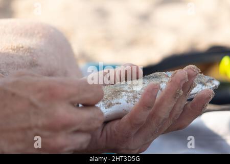 Primo piano di una mano che tiene un pesce coperto di sabbia da spiaggia. Foto Stock