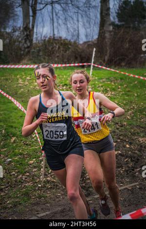 Falkirk, Regno Unito. , . Gli atleti XC di Lindsay si sfidano nel corso di cross country allestito al callander Park di falkirk Today Credit: Reiss McGuire/Alamy Live News Foto Stock