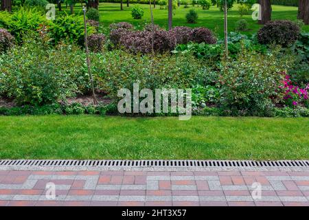 Una griglia di drenaggio con una rete di ferro al bordo di un marciapiede pedonale in un parco con un prato con erba tagliata e un letto di fiori con varie piante, autobus Foto Stock