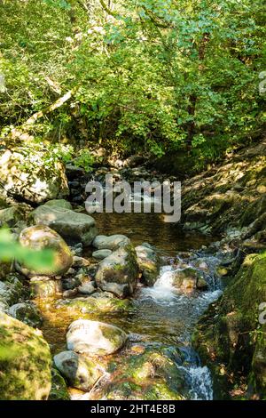 Aira Force Waterfall, vicino a Ullswater, Cumbria, Lake District, Regno Unito. Foto Stock