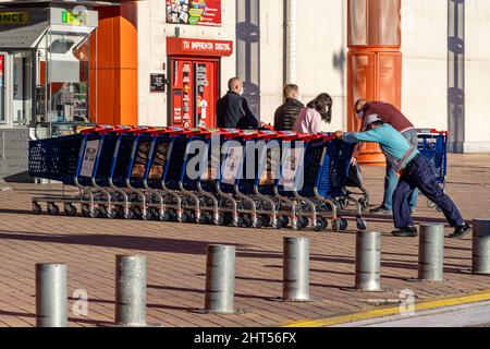 Supermercato Carrefour nel centro commerciale Parque Rivas a Rivas Vaciamadrid. Foto Stock