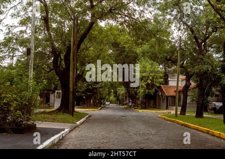 Strada pittoresca con ciottoli e alberi in Argentina Foto Stock