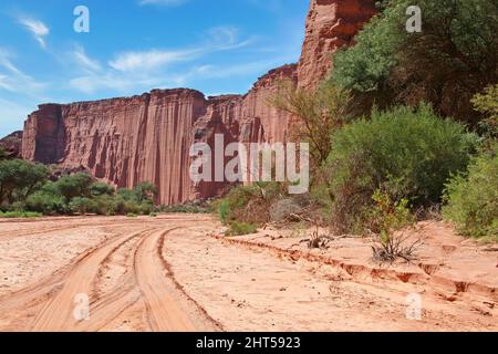 Asciugare riverbed e ripide scogliere di arenaria nella Talampaya National Park, La Rioja, Argentina Foto Stock