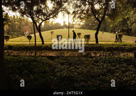 Tramonto al Parco Nehru, situato nell'Enclave diplomatico Chanakyapuri di Nuova Delhi, India Foto Stock