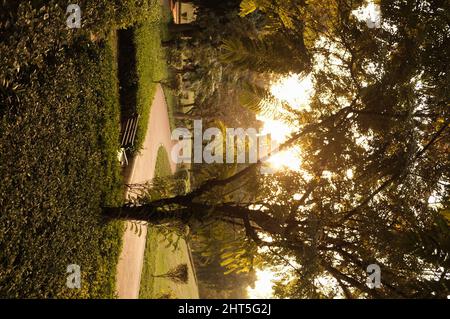 Tramonto al Parco Nehru, situato nell'Enclave diplomatico Chanakyapuri di Nuova Delhi, India Foto Stock