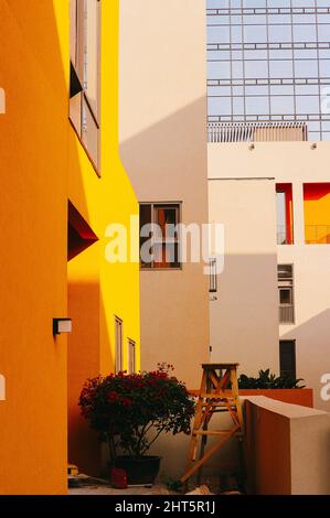 Immagine verticale di edifici Foto Stock