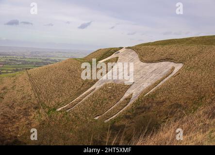 Cavallo bianco di Westbury sul Bratton Downs nel Wiltshire sud-ovest dell'Inghilterra Foto Stock