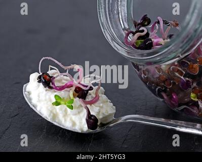 Cucchiaio con crema di formaggio grattugiato con germogli di ravanello rosso su piatto di ardesia, primo piano di sana colazione con microgreens Foto Stock