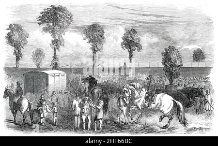 Royal Agricultural Society of England - dodicesima riunione annuale e mostra, 1850. 'Arrivo di bestiame allo Show-Yard'. Mostra agricola a Exeter in Devon. Da "Illustrated London News", 1850. Foto Stock