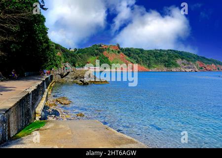 Una vista che guarda lungo la spiaggia a Oddicombe nel Devon Sud Foto Stock