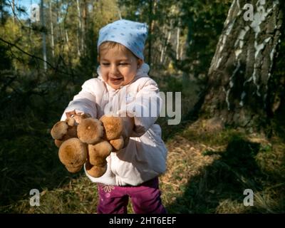 bambino che raccoglie i funghi di miele nella foresta d'autunno. primo piano. toddler tiene i funghi commestibili bei nelle mani Foto Stock