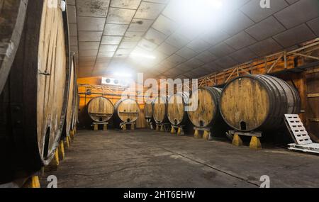 botti in legno in una tradizionale fabbrica di sidro Foto Stock