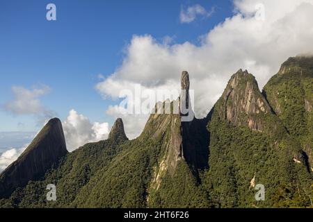 Percorso da cartolina nella giungla della riserva naturale del Brasile Foto Stock