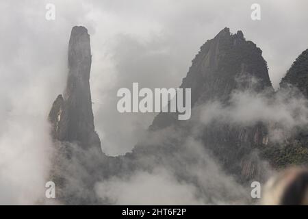 Percorso da cartolina nella giungla della riserva naturale del Brasile Foto Stock