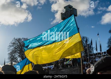 Manifestazione a Piazza della libertà nello Stato NATO Estonia a sostegno dell'Ucraina e contro l'aggressione russa. Bella bandiera Ucraina ondeggiante. Foto Stock