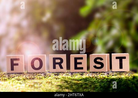 forest è una parola fatta di cubi sullo sfondo di una foresta verde, una giornata di sole e un viaggio nella natura all'aperto escursioni. Foto Stock