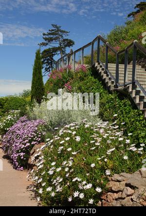 Fiori estivi nei Royal Terrace Gardens, Torquay, South Devon, sotto Rock Walk zig-zag Steps. Foto Stock