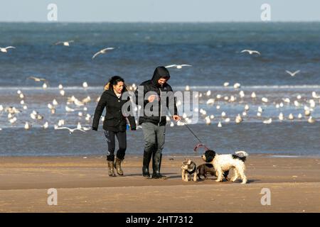 Southport, Merseyside, 27.02.22. Le persone possono sfruttare al massimo le splendide condizioni primaverili mentre si dirigono verso la spiaggia di Southport a Merseyside per una passeggiata lungo le rive dorate. Credit: Cernan Elias/Alamy Live News Foto Stock