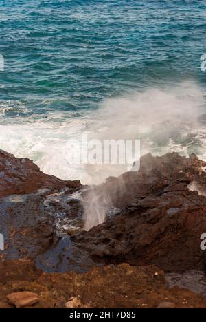 L'acqua spruzza da un fiore sulla costa di Oahu Foto Stock