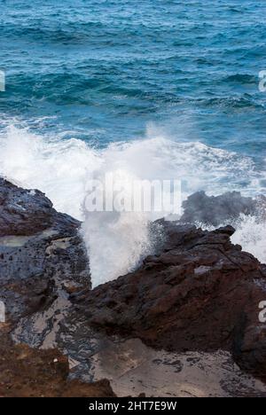L'acqua spruzza da un fiore sulla costa di Oahu Foto Stock