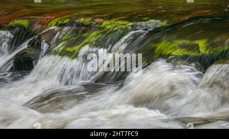 Fiumi che scorrono velocemente sulle rocce a Watersmeet in Devon, Inghilterra, Regno Unito in una giornata estiva brillante. Parte del Parco Nazionale Exmoor. Foto Stock