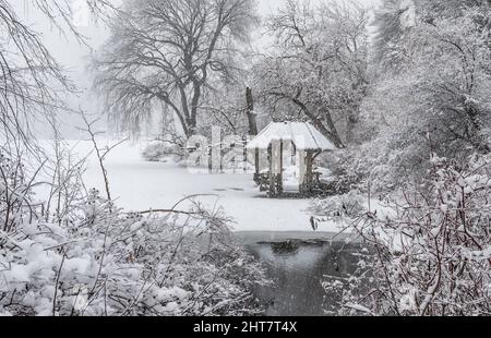 Bella neve nel Parco Centrale con gazebo attraente. Foto Stock