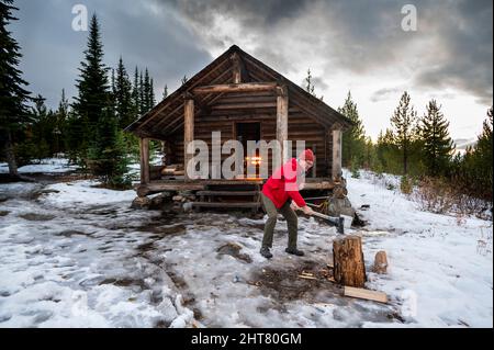 Tritare il legno alla cabina Snow Peak nella foresta nazionale di Colville Foto Stock
