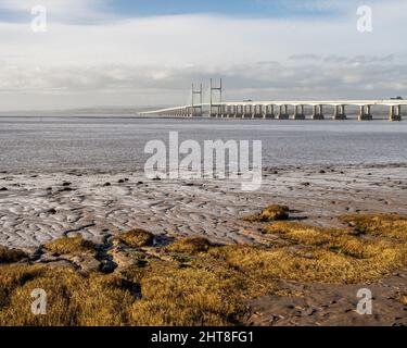 L'erba cresce sulle pianure di fango sulla riva del canale di Bristol a Severn Beach in Gloucestershire, con il secondo ponte Severn Crossing alle spalle. Foto Stock