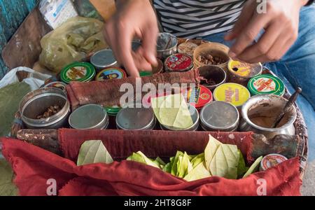 Vendor vendor betel NUTS, Chandni Chowk (Moonlight Square), Delhi, India Foto Stock