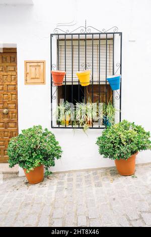 Foto verticale del tipico edificio bianco con piante a Malaga, Spagna Foto Stock