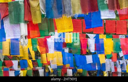Bandiere di preghiera in montagna, Darjeeling, Bengala Occidentale, India Foto Stock