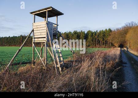 Primo piano di una torre di guardia in legno nel campo della fattoria Foto Stock
