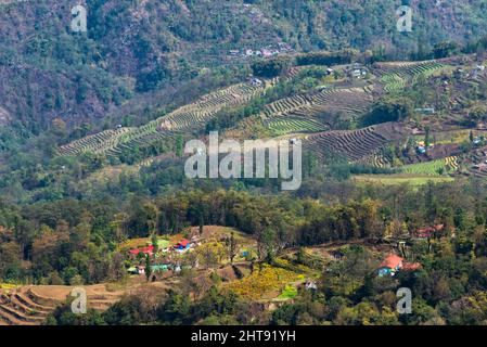 Case di villaggio e terreni coltivati in Himalaya, Pelling, Sikkim, India Foto Stock