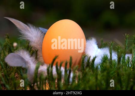 Uovo di Pasqua in natura. Prodotto biologico su muschio verde tra piume bianche nella foresta. Vista ad angolo alto. Foto Stock