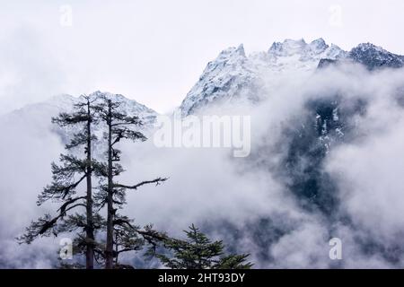 Montagna coperta di nebbia, Lachung, Sikkim, India Foto Stock