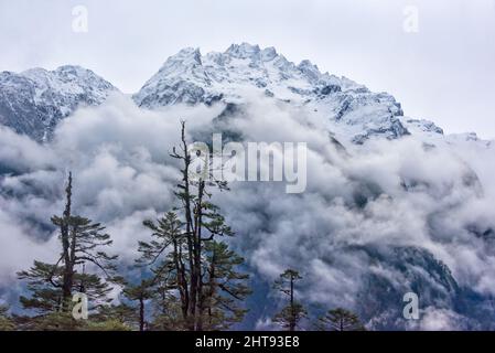 Montagna coperta di nebbia, Lachung, Sikkim, India Foto Stock