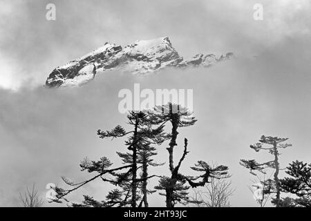 Montagna coperta di nebbia, Lachung, Sikkim, India Foto Stock