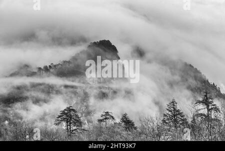 Montagna coperta di nebbia, Lachung, Sikkim, India Foto Stock