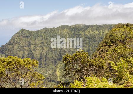 Vista panoramica dall'alto dalla valle di Napili a Kauai, Hawai Foto Stock