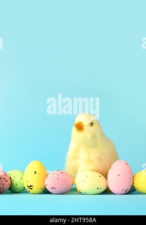 Uova di Pasqua e pulcino giallo su sfondo blu. Il concetto minimo. Carta di Pasqua. Foto Stock