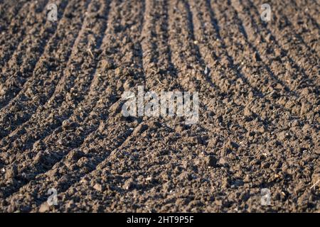 I cingoli del erpice si trovano in un campo arabile Foto Stock