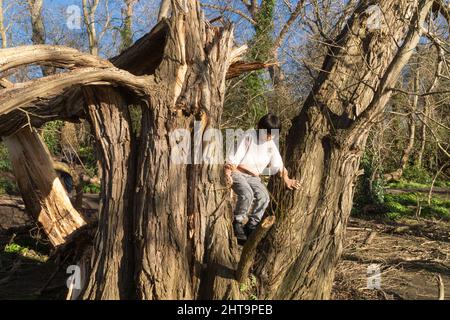 Ragazzo sale su un albero Foto Stock