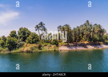 Vista panoramica su un fiume o un lago con palme e altri alberi sulla riva Foto Stock