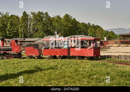 Attrazione in treno nel Parco della Città Occidentale vicino alle montagne di Karkonosze in Polonia Foto Stock